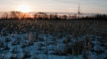 004_Biebrza - marzec 2013